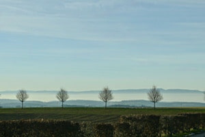 Weitblick