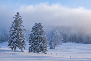 Nebel im Winterparadies