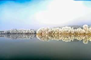 Winterwonderland