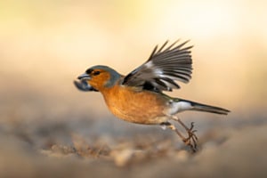 Abflug 