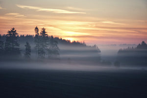 Stille 
