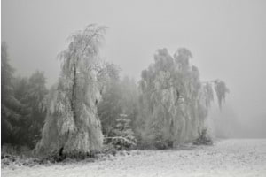 Eiszeit 