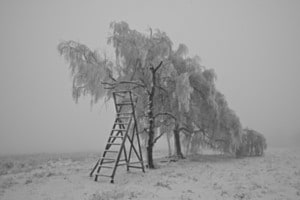 Stille 