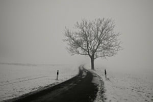Road to Nowhere