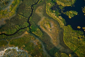 Muster des Okavango