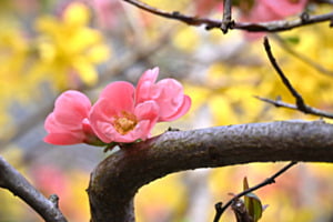 Kunterbunt
