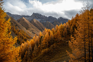 Eine Welt in Orange