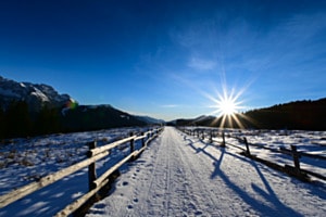 Die Wanderung 