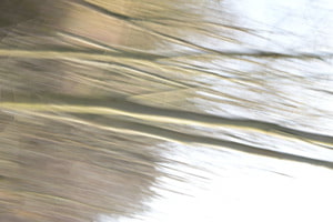 Abstract