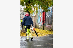 Herbst in Tallinn