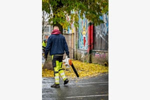 Herbstlaub in Tallinn