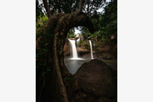 Framed paradise
