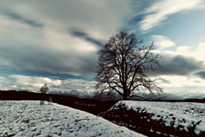 Geisterstunde bei Tag