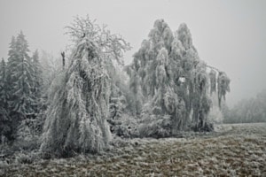 Eiszeit 
