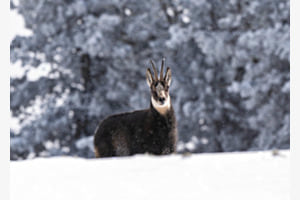 Begegnung in der Winterkälte