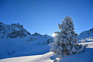 Winter Wonderland
