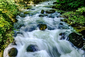 Mystic gorgeous Taubenloch 