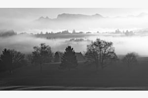 A la limite du brouillard