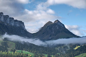 Nebelschlange