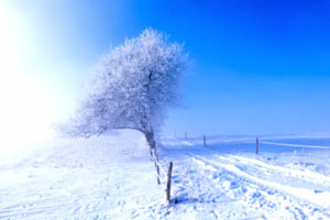 alleine...