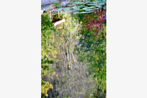 Monet lässt grüssen
