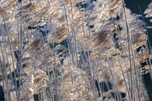 leichte Brise