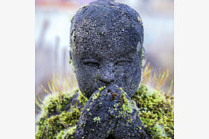Little Buddha