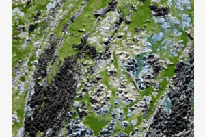 Klimawandel am Gülper See