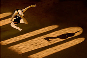 shadowgymnaste