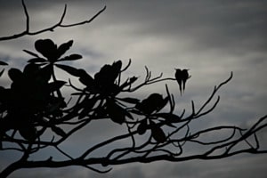 Date im Dunkeln