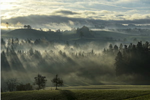 Herbstmorgen