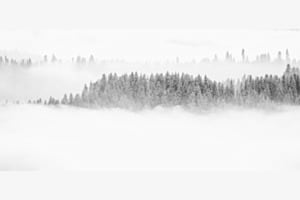 Im und über dem Nebel