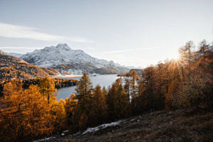 The Last Glow
