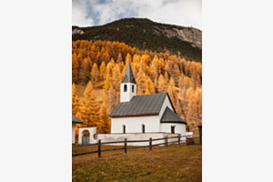 The Golden Church