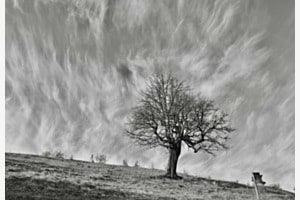 Baumwolken Landschaft