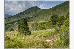 Natur