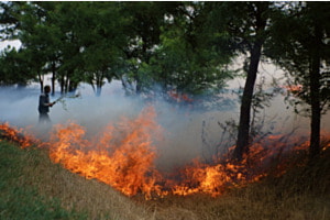 Feuer