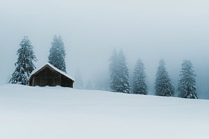 finding peace in the Silence