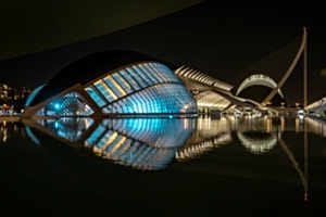 Fisch im nächtlichen Gewässer, Valencia, ciudad de les Artes Fisch im nächtlichen Gewässer, Valencia, ciudad de les Artes
