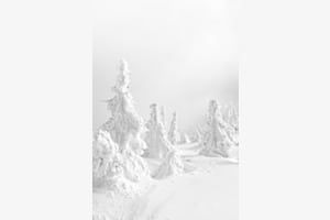 Juhyo - Snow Monster in Japan