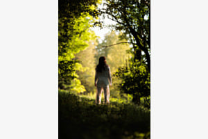 Lonely in the Woods