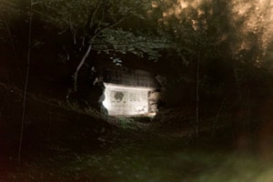 Fortin Frinvillier de Nuit