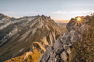 Sonnenstern im Alpstein