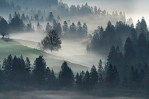 frühmorgens im Emmental