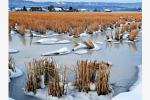 Frostige Temperaturen