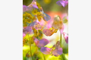 Endlich wieder Farben