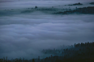 Nebelmeer