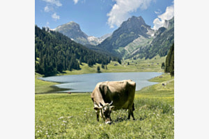 Brülisau Brülisau
