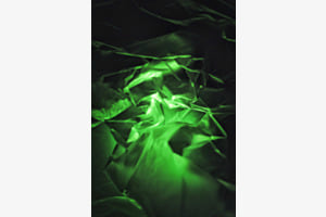 Greenlight