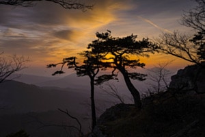 Blick ins Tal